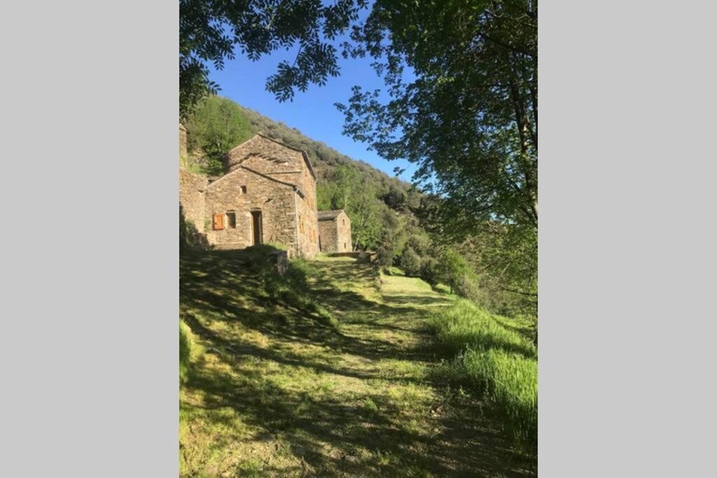 La Pellegrine, Parc National Des Cevennes Villa Le Salson Exterior photo
